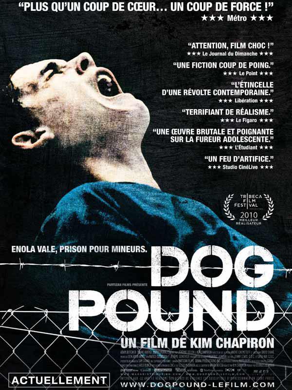 dog-pound-L-1.jpeg