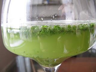 Une divine boisson très désaltérante découverte en Syrie : Citronnade à la menthe Une divine boisson très désaltérante découverte en Syrie : Citronnade à la menthe