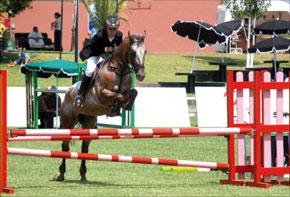Semaine du cheval 2010 020710_p_cheval