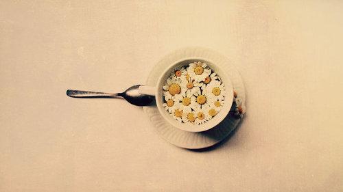 Je ne suis pas bizarre, mais. . . Je ne suis pas bizarre, mais. . .