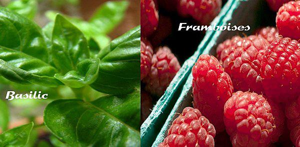 Basilic-Framboises.jpg