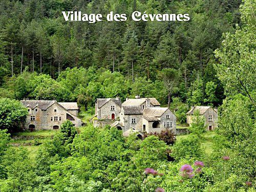 Tarte Fine aux Saveurs des Cévennes Village des Cévennes