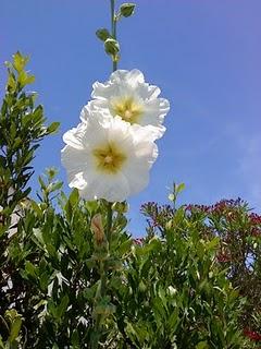 J'hallucine, mais pas toi... oui oui aujourd'hui c'est bien le 5ème message ! J'hallucine, mais pas toi... oui oui aujourd'hui c'est bien le 5ème message !