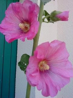 J'hallucine, mais pas toi... oui oui aujourd'hui c'est bien le 5ème message ! J'hallucine, mais pas toi... oui oui aujourd'hui c'est bien le 5ème message !