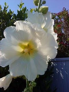 J'hallucine, mais pas toi... oui oui aujourd'hui c'est bien le 5ème message ! J'hallucine, mais pas toi... oui oui aujourd'hui c'est bien le 5ème message !