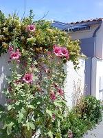 J'hallucine, mais pas toi... oui oui aujourd'hui c'est bien le 5ème message ! J'hallucine, mais pas toi... oui oui aujourd'hui c'est bien le 5ème message !