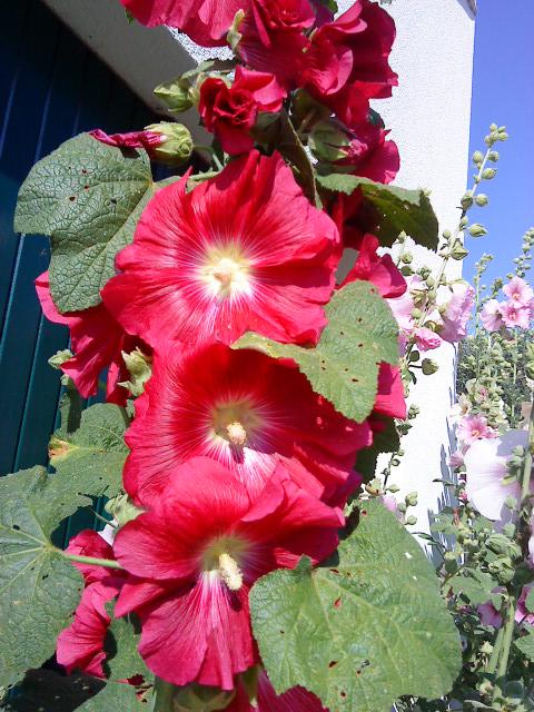 J'hallucine, mais pas toi... oui oui aujourd'hui c'est bien le 5ème message ! J'hallucine, mais pas toi... oui oui aujourd'hui c'est bien le 5ème message !