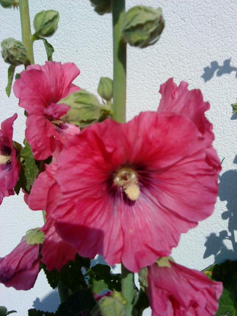 J'hallucine, mais pas toi... oui oui aujourd'hui c'est bien le 5ème message ! J'hallucine, mais pas toi... oui oui aujourd'hui c'est bien le 5ème message !