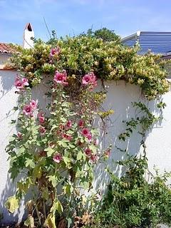 J'hallucine, mais pas toi... oui oui aujourd'hui c'est bien le 5ème message ! J'hallucine, mais pas toi... oui oui aujourd'hui c'est bien le 5ème message !