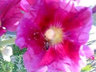 J'hallucine, mais pas toi... oui oui aujourd'hui c'est bien le 5ème message ! J'hallucine, mais pas toi... oui oui aujourd'hui c'est bien le 5ème message !