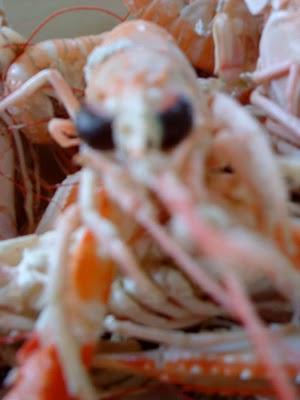 J'hallucine, mais pas toi... oui oui aujourd'hui c'est bien le 5ème message ! J'hallucine, mais pas toi... oui oui aujourd'hui c'est bien le 5ème message !