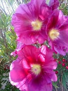 J'hallucine, mais pas toi... oui oui aujourd'hui c'est bien le 5ème message ! J'hallucine, mais pas toi... oui oui aujourd'hui c'est bien le 5ème message !