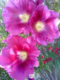 J'hallucine, mais pas toi... oui oui aujourd'hui c'est bien le 5ème message ! J'hallucine, mais pas toi... oui oui aujourd'hui c'est bien le 5ème message !