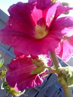 J'hallucine, mais pas toi... oui oui aujourd'hui c'est bien le 5ème message ! J'hallucine, mais pas toi... oui oui aujourd'hui c'est bien le 5ème message !