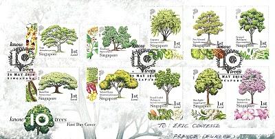 10 arbres à connaître à Singapour