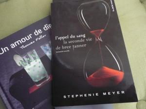 juillet-005 Vacances…Twilight et apéro