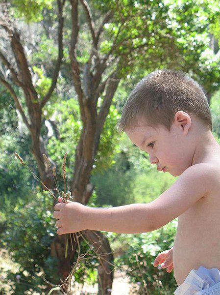 Pique-nique en famille 06 Juillet 2010 (76)