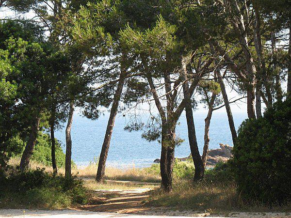 Pique-nique en famille 06 Juillet 2010 (26)