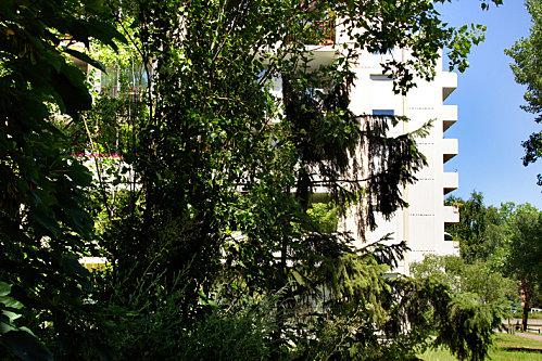 Bois cadet: un îlot de verdure val-fontenay-robespierre