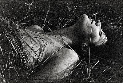 Belles lutines Belles lutines