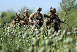 Le financement de la guerre en Afghanistan (counterpunch)