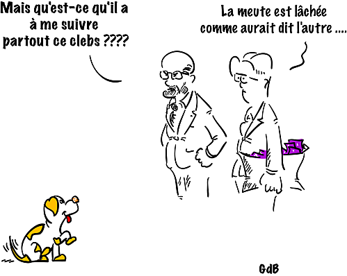 Après Paul le poulpe, les prédictions de WaFi le chien !! wafi_prediction-copie-2.png