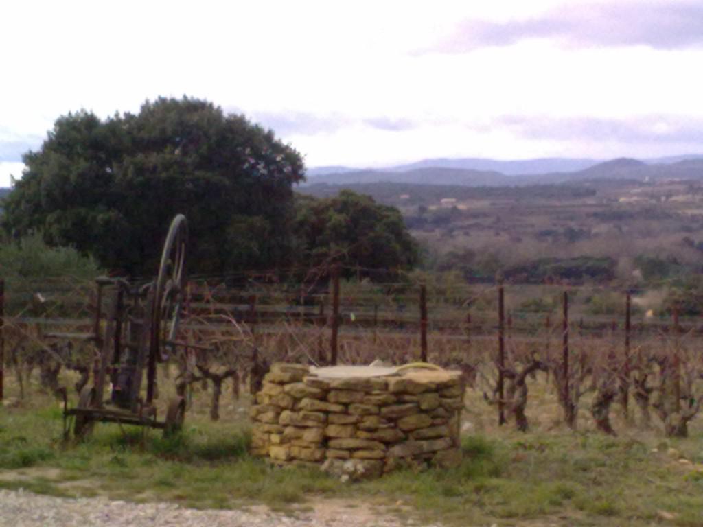 29012010862 1024x768 coup de coeur  Le Mas de la Séranne en appellation Terrasses du Larzac