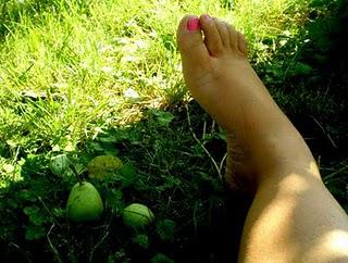 SUMMERTIME 2#3 pour Mulot SUMMERTIME 2#3 pour Mulot