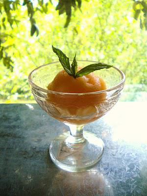 Mon premier sorbet maison Mon premier sorbet maison