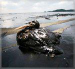 BP - Goldman Sachs - Halliburton