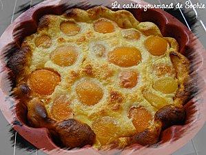 Clafoutis vanillé aux abricots clafoutis-abricots-2-100710.jpg