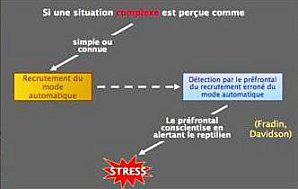 Situation-faussement-simple.jpg
