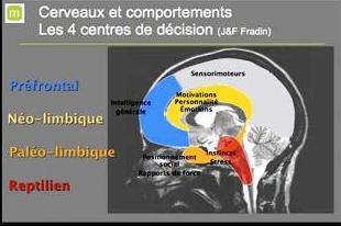 cerveau-by-Fradin.jpg