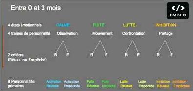 L-empreinte-du-cerveau.jpg