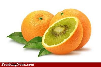 Kiwi-Orange--21122.jpg