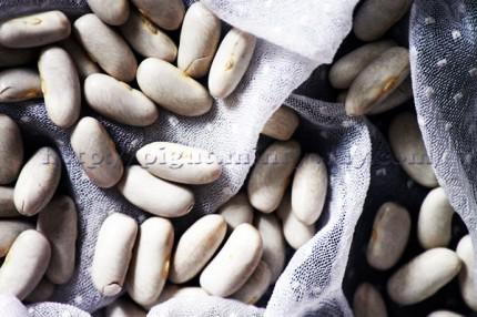 HaricotsLingotsPIGUT Haricots Lingots