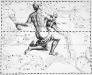aquarius_hev aquarius_hev