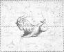 capricornus_hev2 capricornus_hev2