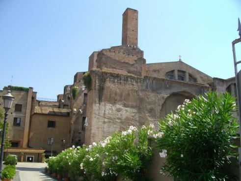 IMGP1328 J’ai testé pour vous…