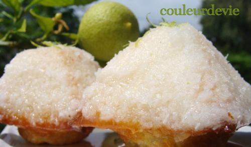 Gâteau au citron et à la noix de coco Gâteau au citron et à la noix de coco