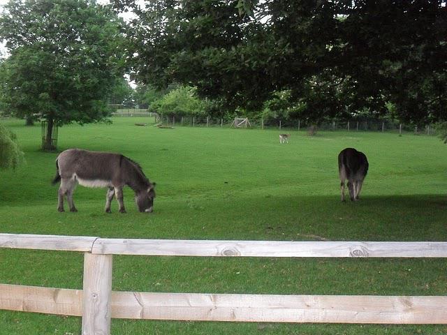 Une soirée à West Hampstead! Une soirée à West Hampstead!