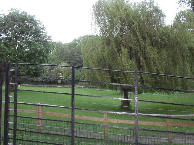 Une soirée à West Hampstead! Une soirée à West Hampstead!