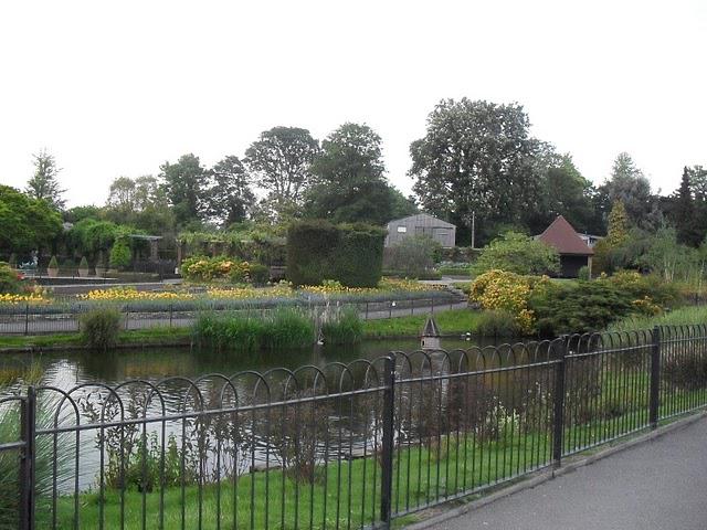 Une soirée à West Hampstead! Une soirée à West Hampstead!