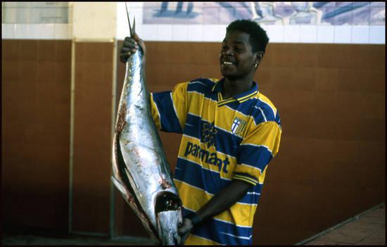 Mindelo cap-vert-marche-au-poisson-mindelo.1277030366.jpg