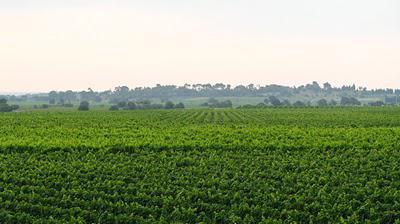 Montagnes Russes Montagnes Russes