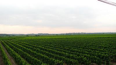 Montagnes Russes Montagnes Russes