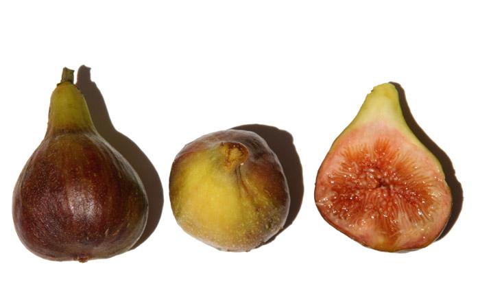 Early-ripe fig figue fleur breba hocory fioroni fichi fioroni