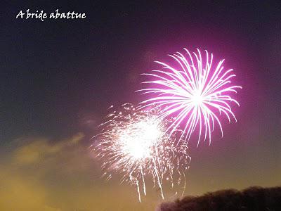 Feu d'artifices en banlieue parisienne Feu d'artifices en banlieue parisienne