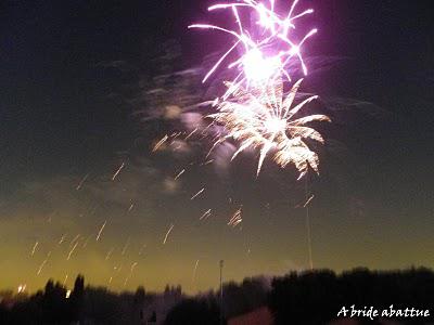Feu d'artifices en banlieue parisienne Feu d'artifices en banlieue parisienne