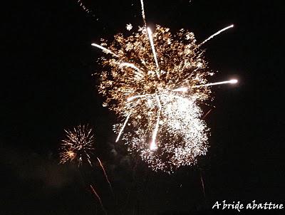 Feu d'artifices en banlieue parisienne Feu d'artifices en banlieue parisienne